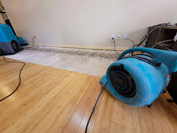 Professional Basement Flood Cleanup technician working in Berea, SC
